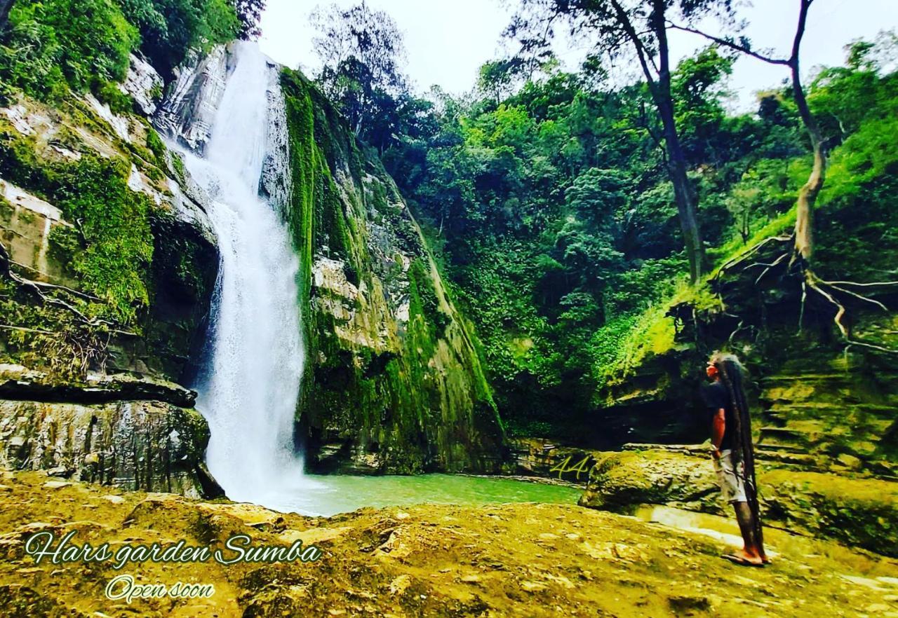 Hotel Hars Garden Sumba Waingapu Esterno foto