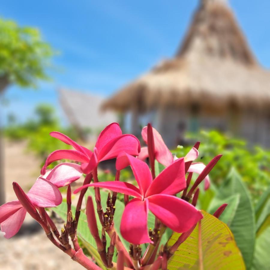 Hotel Hars Garden Sumba Waingapu Esterno foto
